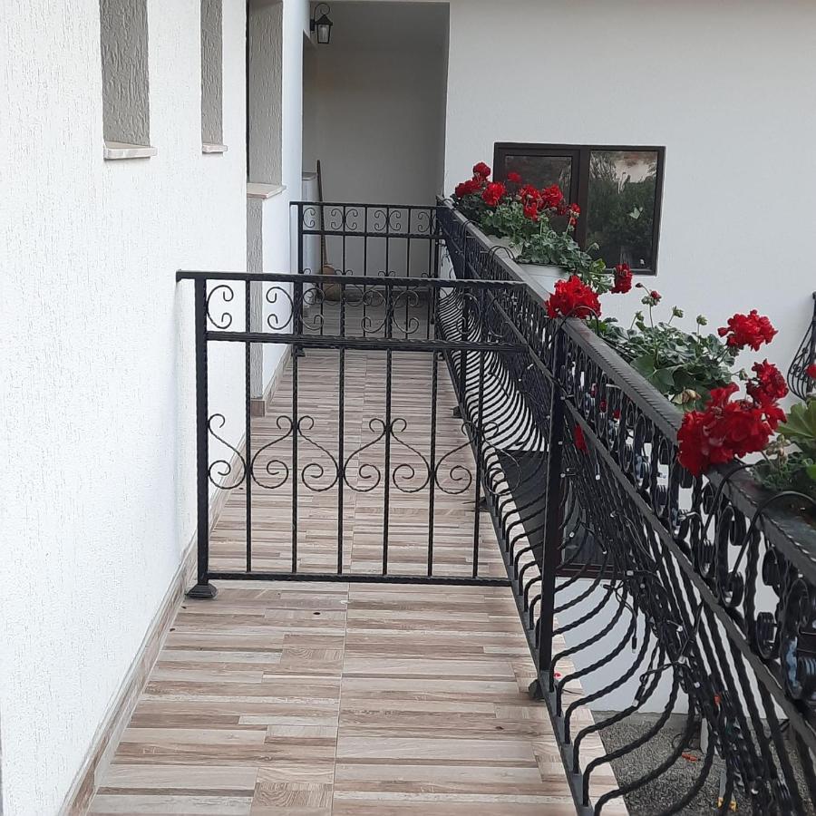 Casa Dana Olteanu Moeciu De Sus Exterior foto